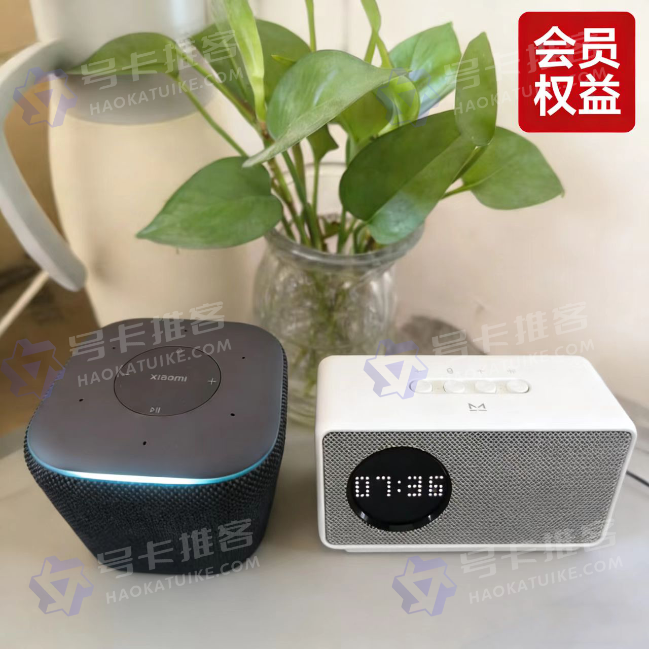 小爱小米音箱会员天猫精灵会员（独家优选账户）-号卡推客